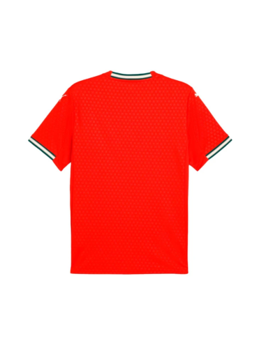 Puma camiseta portugal 1ºequipacion