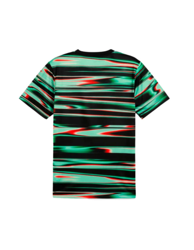 Puma portugal sudadera prematch
