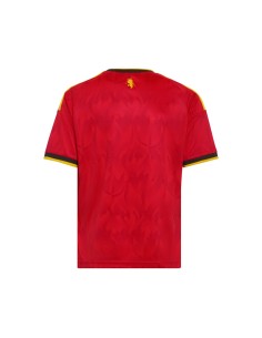 Adidas Camiseta 1ºEquipacion Y Bélgica 2