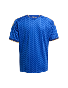 Adidas Camiseta 1ºEquipacion Y Italia 2