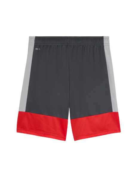 Puma Short Individual
