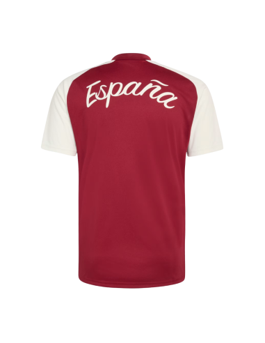 Adidas Camiseta Pre Match España