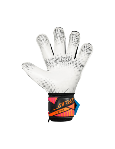 Reusch Attrackt Advance Evolution Glubeprint